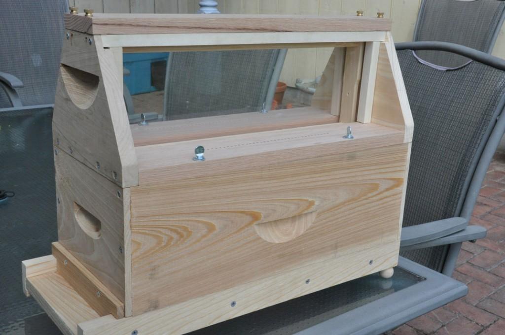 observation hive woodworking plans