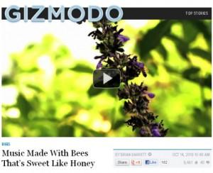 music made with bees-gizmodo-screenshot