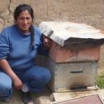 carmen - peruvian beekeeper and kiva loan recipient