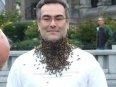 dans-beard-of-bees